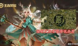 武藏皮肤爆料最新消息,神秘元素与独特设计，引领潮流新风尚